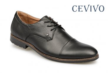 Cevivo 411 big