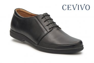 Cevivo 478
