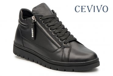 Cevivo 6011