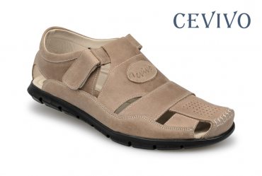Cevivo 9966 OL
