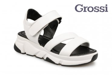 Grossi 177-2
