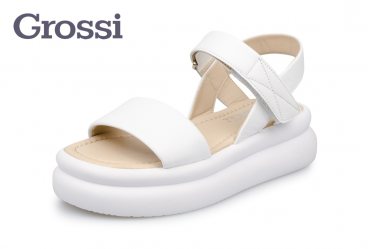 Grossi 242-2