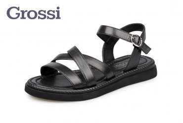 Grossi 253N
