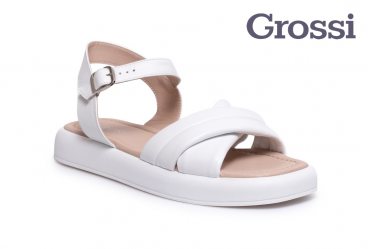 Grossi 368-2