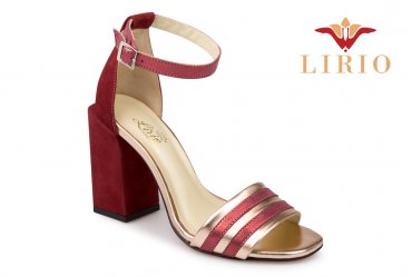Lirio L0129 bordo
