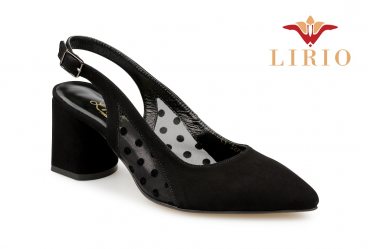 Lirio L0149 bs