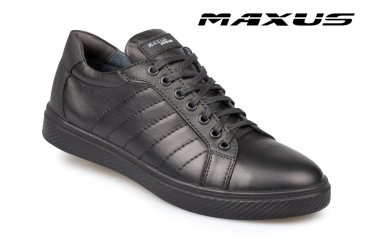 Maxus 203