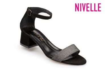 Nivelle 1854