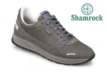 Shamrock 10.104 gray