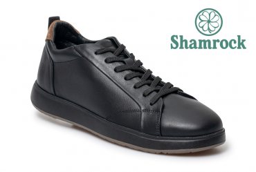 Shamrock 10.166