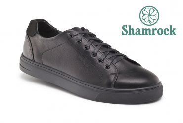 Shamrock 10.34