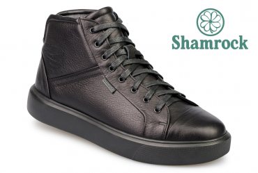 Shamrock 20.41N