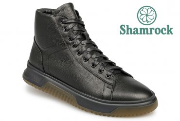 Shamrock 20.46
