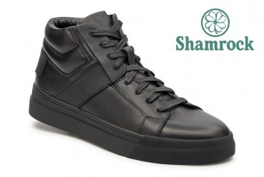 Shamrock 20.61