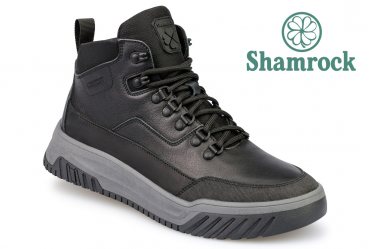 Shamrock 20.63
