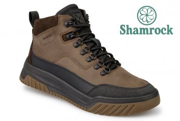 Shamrock 20.63 brown