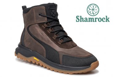 Shamrock 20.64 brown