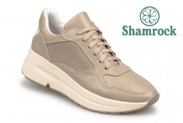 Shamrock 40.23 beige