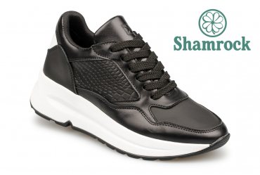 Shamrock 40.23 black