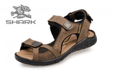 Shark L-63 brown