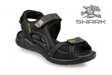 Shark L-63 green